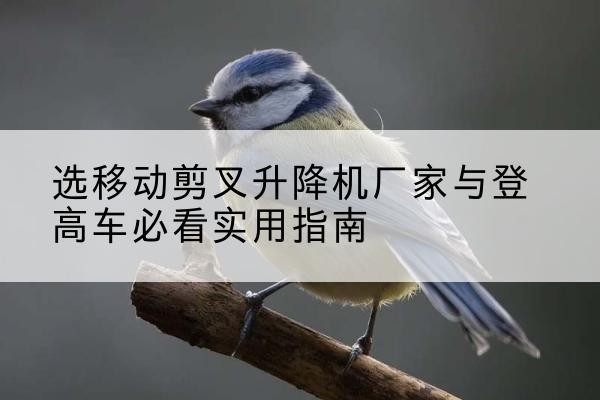 白水电动升降机厂家-选移动剪叉升降机厂家与登高车必看实用指南