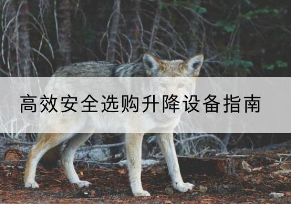 白水升降货梯厂家推荐-*安全选购升降设备指南